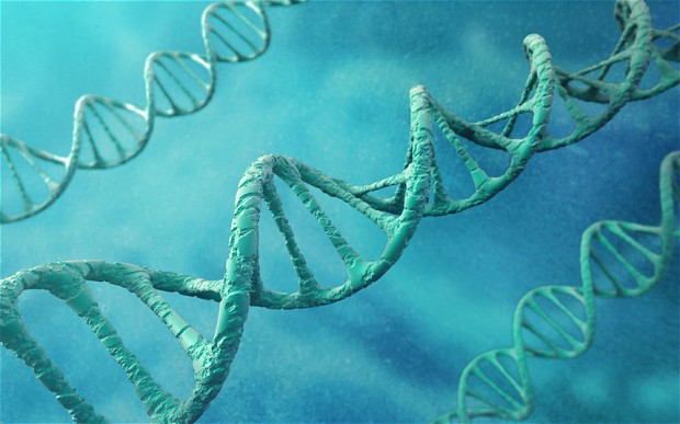 New DNA Data Storage could last Thousands of Years
